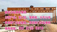 广东惠州龙门吊公司介绍起重机的结构